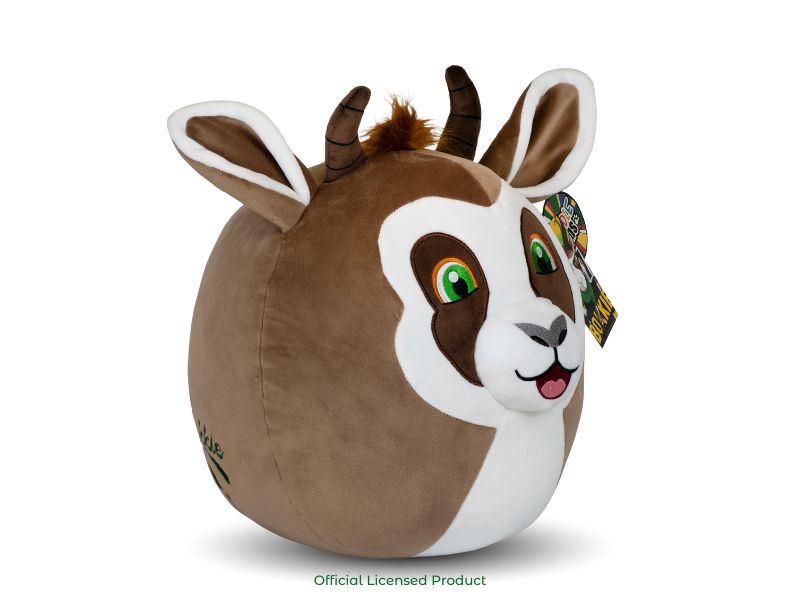 Product image_ Bokkie (2).jpg